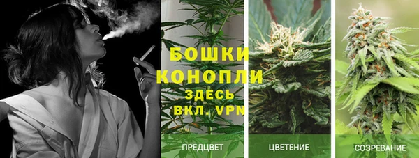 COCAINE Аркадак