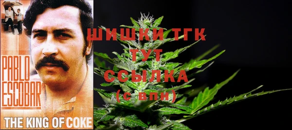 твердый Балахна